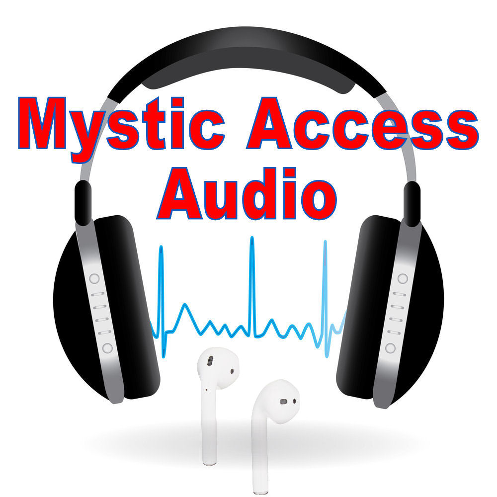 Read and audio. Voice audio reader. audio access px-600.